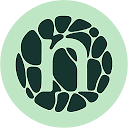 Novonesis